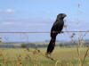 Description de cette image, galement commente ci-aprs