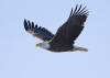 Description de cette image, galement commente ci-aprs