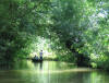 Image illustrative de larticle Marais poitevin