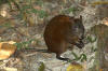 Description de cette image, galement commente ci-aprs