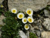 Description de cette image, galement commente ci-aprs