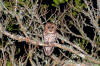 Description de cette image, galement commente ci-aprs