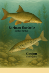 Draw a barbel (_Barbus barbus_) and a gudgeon (_Gobio gobio_) in action in their natural habitat, with their scientific and French names included.