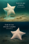 Illustration of two starfish species in their natural habitat: Pteraster capensis (Étoile de mer à mucus) and Hymenaster sp. (Étoile de mer abyssale à papilles). The image should depict them in action, with their French and scientific names labeled. Format: 1025x1536.