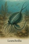 Draw a Leanchoilia in its natural habitat, including its scientific name.