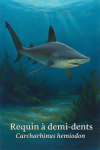 Carcharhinus hemiodon (Requin  demi-dents) en action dans son milieu naturel, format 1025x1536, avec noms Franais et scientifique