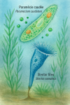Illustration of Paramecium caudatum (Paramécie caudée) and Stentor coeruleus (Stentor bleu) in action in their natural aquatic environment, labeled with both their French and scientific names, in a 1025x1536 format