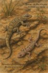 Draw a Tarente de Maurétanie (Tarentola mauritanica) and a Hémidactyle verruqueux (Hemydactylus turcicus) in action in their natural habitat, with their French and scientific names displayed.