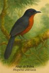 Alapi de Bahia (Rhopornis ardesiacus) en action dans son habitat naturel, format 1025x1536, avec les noms franais et scientifique visibles