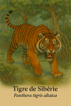 Illustration du Tigre de Sibérie (Panthera tigris altaica) dans une mangrove : marchant entre les racines aériennes et les eaux calmes, dans une ambiance tropicale. Le nom français et scientifique doit être inclus dans l'image.