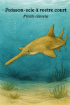 Pristis clavata (Poisson-scie  rostre court) en action dans son milieu naturel, format 1025x1536, avec les noms Franais et scientifique