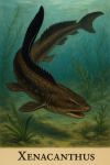 Draw a Xenacanthus in action in its natural habitat, including its scientific name.