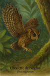 Chouette de Negros (Otus nigrorum) en action dans son habitat naturel, format 1025x1536, avec les noms franais et scientifique visibles