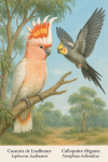 dessine moi un Cacatoes de Leadbeater (Lophocroa leadbeateri) et un Callopsitte élégante (Nymphicus hollandicus) en action dans leur milieu naturel dans un format de 1025*1536 avec leurs noms Français et scientifique
