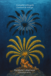 Illustration of Comaster schlegelii (Comatule de Schlegel) and Davidaster rubiginosus (Comatule dorée) in action in their natural habitat, labeled with both French and scientific names