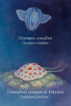 Illustration of Ocyropsis cristallina (Ocyropsis cristalline) and Coeloplana fishelsoni (Cténophore rampant de Fishelson) in action in their natural marine habitat. The image should depict both ctenophores in motion, surrounded by oceanic elements like plankton, coral, and water currents. Include their French and scientific names in the image. Format: 1025x1536.