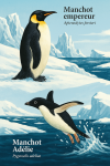 Illustration d'un Manchot empereur (Aptenodytes forsteri) et d'un Manchot Adélie (Pygoscelis adeliae) en action dans leur habitat glacial, avec leurs noms français et scientifiques visibles. Format 1025x1536.