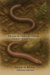 Dibamus novaeguineae (Dibame de Nouvelle-Guinée) et Dibamus bourreti (Dibame de Bourret) en action dans leur milieu naturel, illustrés dans un format 1025x1536 avec leurs noms français et scientifiques visibles