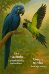 redessine un Ara hyacinthe et un Conure nanday en action dans leur milieu naturel avec leurs noms corrigés en français