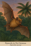 Pipistrelle de lle Christmas (Pipistrellus murray) en action dans son habitat naturel, format 1025x1536, avec les noms franais et scientifique visibles