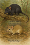 Dessinez Antechinus swainsonii (Antechine sombre) et Antechinus bellus (Antechine d'Arnhem) en action dans leur milieu naturel. Incluez leurs noms français et scientifiques dans l'image. Format : 1025x1536.