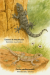 Illustration of Tarentola mauritanica (Tarente de Maurétanie) and Hemidactylus turcicus (Gecko méditerranéen) in action in their natural habitat, labeled with both French and scientific names