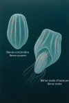 dessine un Beroe cucumis (Béroe-concombre) et un Beroe ovata (Béroe-ovale chasseuse) en action dans leur milieu naturel, avec leurs noms français et scientifiques visibles, format 1025x1536