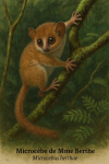 Microcbe de Mme Berthe (Microcebus berthae) en action dans son milieu naturel, format 1025x1536, avec les noms franais et scientifique