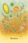 Illustration naturaliste de plancton dans son habitat aquatique