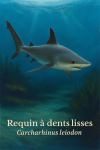 Carcharhinus leiodon (Requin  dents lisses) en action dans son milieu naturel, format 1025x1536, avec noms Franais et scientifique
