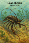dessine moi un(e) Leanchoilia (arthropode prehistorique) en action dans son milieu naturel dans un format de 1025*1536 avec son noms Français et scientifique