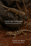 Draw a Galapagos Gecko (Phyllodactylus galapagoensis) and a Baur Gecko (Phyllodactylus bauri