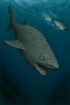 un requin du Groenland en chasse dans son habitat naturel