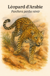 Léopard d’Arabie (Panthera pardus nimir) en action dans son milieu naturel, format 1025x1536, avec noms Français et scientifique
