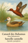 Dessine un Canard des Bahamas (Anas bahamensis) et un Sarcelle cannelle (Spatula cyanoptera) en action dans leur milieu naturel, avec leurs noms franais et scientifiques inclus.