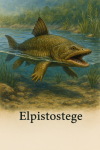 Draw an Elpistostege in action in its natural habitat, including its scientific name.