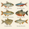 dessine moi 6 characiformes (poissons) d'espces diffrentes en couleurs sur fond clair en format 1024*1024 et leurs noms scientifique seulement.