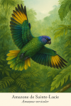 Amazone de Sainte-Lucie (Amazona versicolor) en action dans son habitat naturel, format 1025x1536, avec les noms franais et scientifique visibles