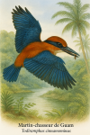 Martin-chasseur de Guam (Todiramphus cinnamominus) en action dans son habitat naturel, format 1025x1536, avec les noms franais et scientifique visibles