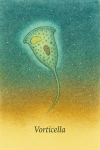 Illustration naturaliste de Vorticella dans son habitat aquatique