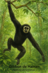Gibbon de Hainan (Nomascus hainanus) en action dans son milieu naturel, format 1025x1536, avec les noms Franais et scientifique