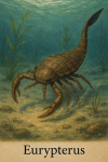 Draw an Eurypterus in action in its natural habitat, including its scientific name.