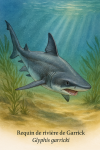 Glyphis garricki (Requin de rivire de Garrick) en action dans son habitat naturel, format 1025x1536, avec les noms 'Requin de rivire de Garrick' et 'Glyphis garricki' visibles dans l'image