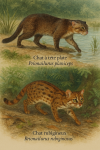 Deux félins rares dans leur habitat naturel : un Prionailurus planiceps (Chat à tête plate) et un Prionailurus rubiginosus (Chat rubigineux) en pleine action, illustrés dans une scène forestière tropicale. Le Chat à tête plate est représenté en train de pêcher dans une rivière peu profonde, tandis que le Chat rubigineux bondit à travers les feuillages à la recherche de proies. Leurs noms français et scientifiques sont subtilement intégrés dans l’image.