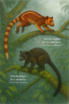 Illustration of a Goodfellow's tree-kangaroo (Dendrolagus goodfellowi) and a Lumholtz's tree-kangaroo (Dendrolagus lumholtzi) in a humid rainforest environment with mist and light rain. The scene should depict both species in action — climbing or leaping among mossy branches and dense foliage. Their French names (Dendrolague de Goodfellow and Dendrolague de Lumholtz) and scientific names should be clearly labeled near each animal. Format: 1025x1536.
