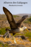 Albatros des Galpagos (Phoebastria irrorata) en action dans son habitat naturel, format 1025x1536, avec les noms franais et scientifique visibles