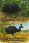 Illustration of a Southern Cassowary (Casoar à casque - Casuarius casuarius) and a Bennett's Cassowary (Casoar de Bennett - Casuarius bennetti) in action in their natural habitat. The Southern Cassowary is shown striding through dense tropical rainforest with its casque prominent, while the Bennett's Cassowary is depicted foraging near a stream in a humid forest. Both birds are labeled with their French and scientific names. Format: 1025x1536.