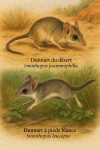 dessine moi un Sminthopsis psammophila — Dunnart du désert et un Sminthopsis leucopus — Dunnart à pieds blancs en action dans leur milieu naturel dans un format de 1025*1536 avec leurs noms Français et scientifique