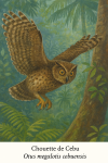 Chouette de Cebu (Otus megalotis cebuensis) en action dans son habitat naturel, format 1025x1536, avec les noms franais et scientifique visibles