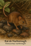 Illustration dun Rat de Narborough (Nesoryzomys narboroughi) en action dans son habitat naturel, avec son nom franais et scientifique visibles, au format 10251536